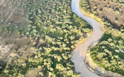 Concerned Waterways Alliance – five years and many submissions later