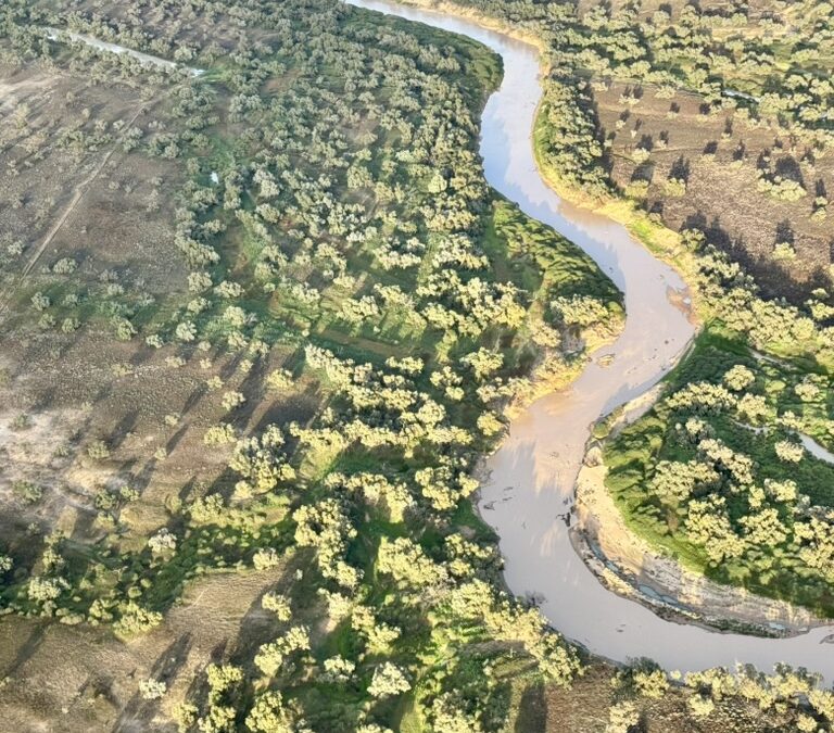 Concerned Waterways Alliance – five years and many submissions later