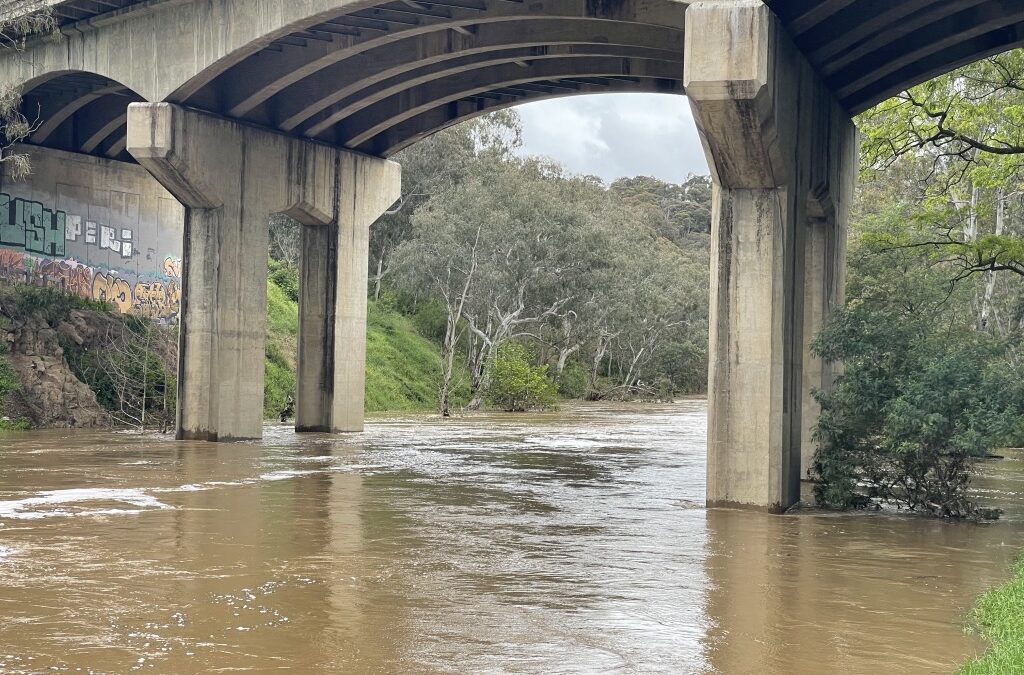 Yarra Birrarung Flows review submission