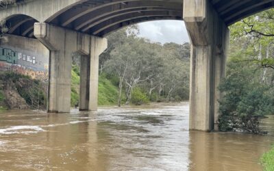 Yarra Birrarung Flows review submission